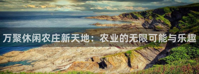 金年会体育官方网站入口