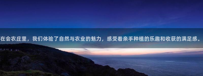 2022金年会