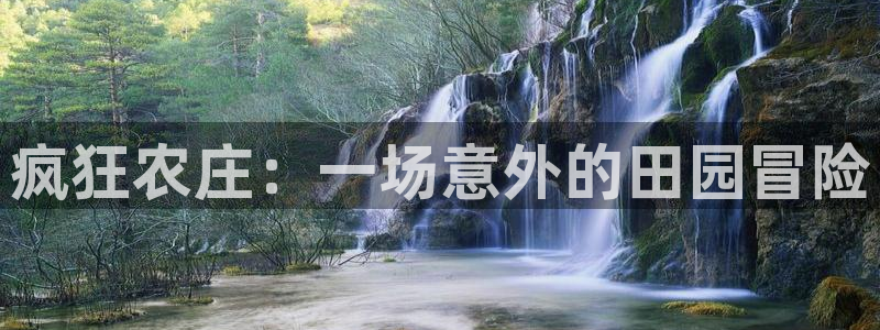 金年会体育官方网站