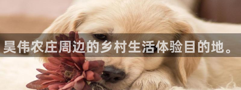 金年会最新下载