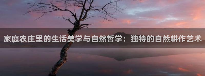 金年会体育app下载