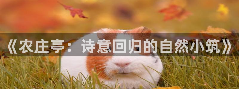 金年会官网入口