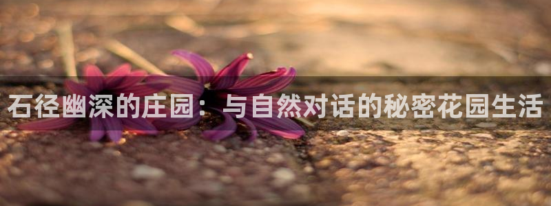 金年会嗨聊app下载