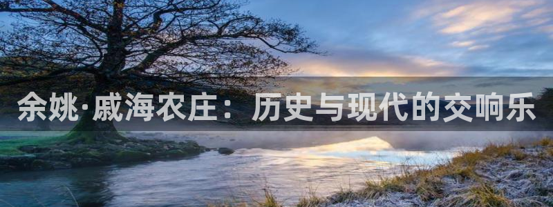 金年会手机官网