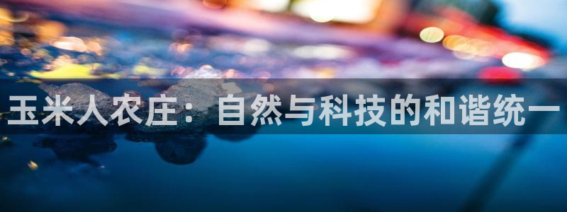 金年会投注官网