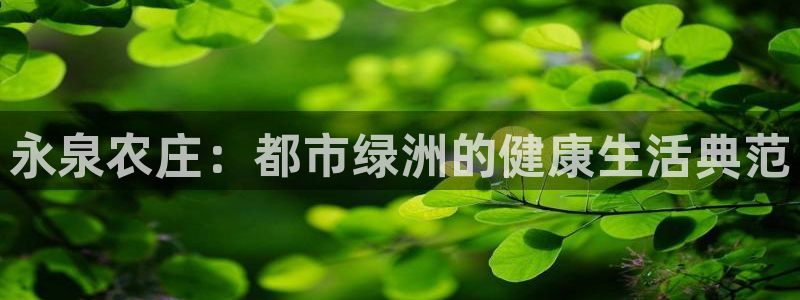 金年会平台是什么