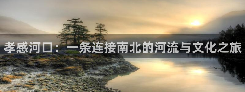 金年会APP安装下载