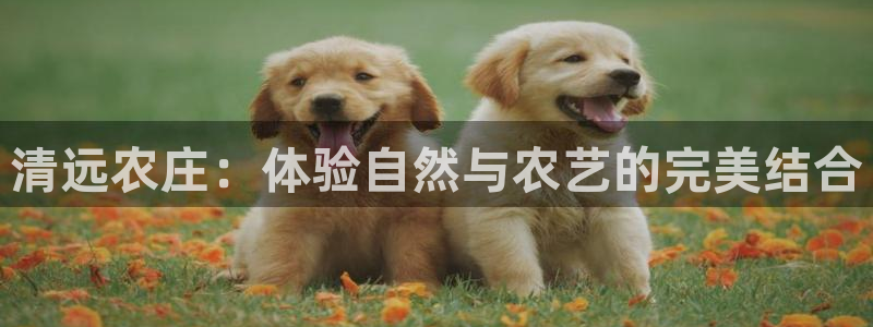 金年会下载官方