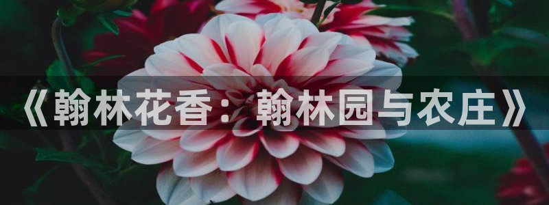 金年会平台游戏