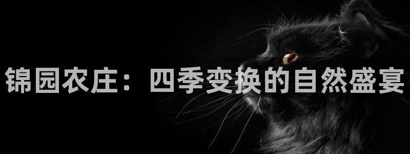 金年会电子游戏app