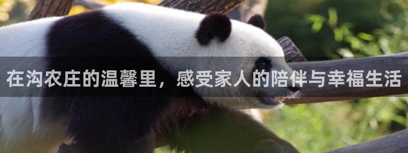 金年会在线下载