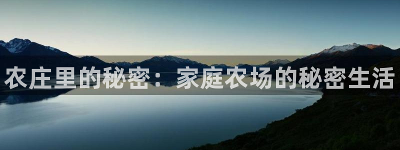 金年会官方入口