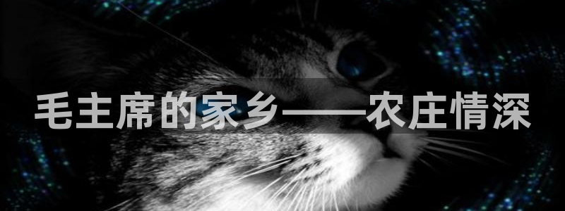 金年会是赌博的吗