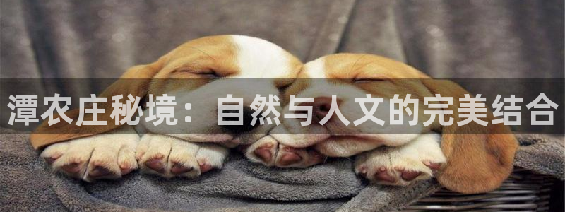 金年会体育下载app