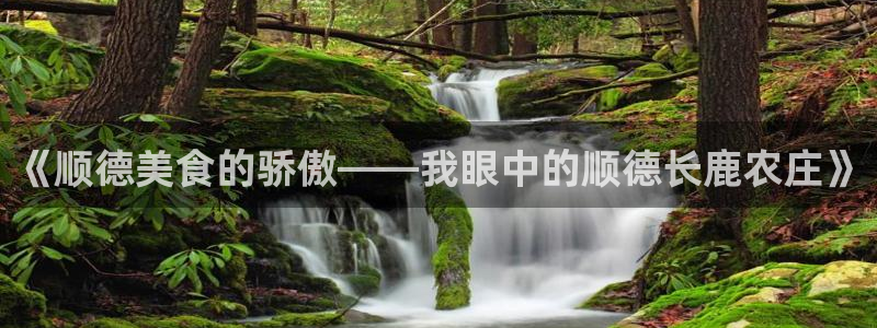 金年会娱乐官网