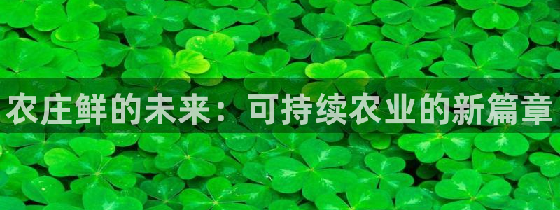 金年会体育app官网