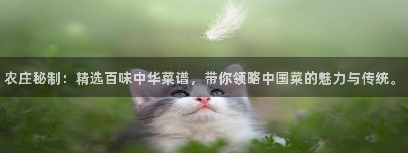 金年会官网登入