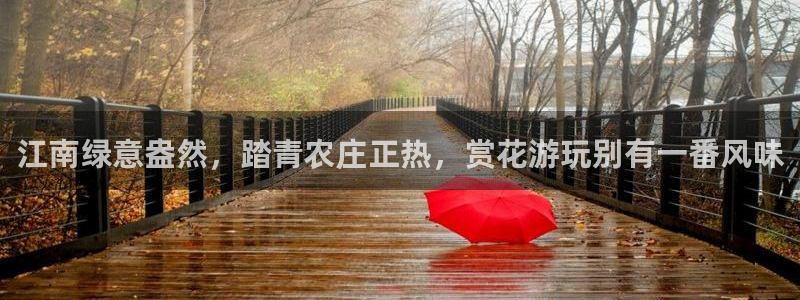 金年会电子游戏app