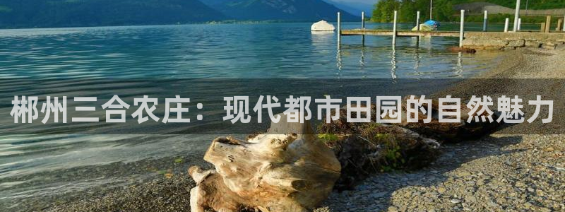 金年会娱乐官网