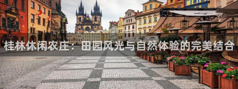 金年会体育官方下载