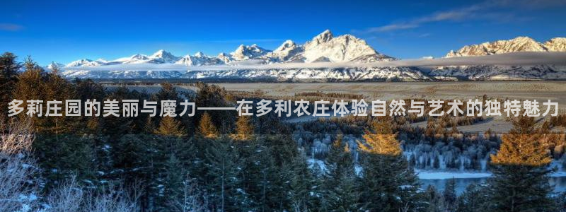 金年会体育app官网