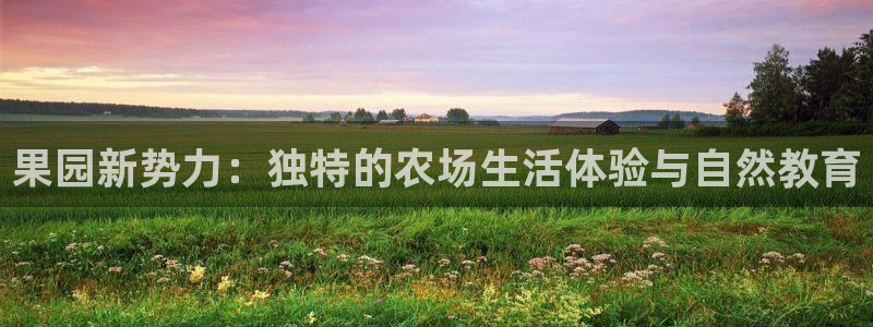 金年会最新登录