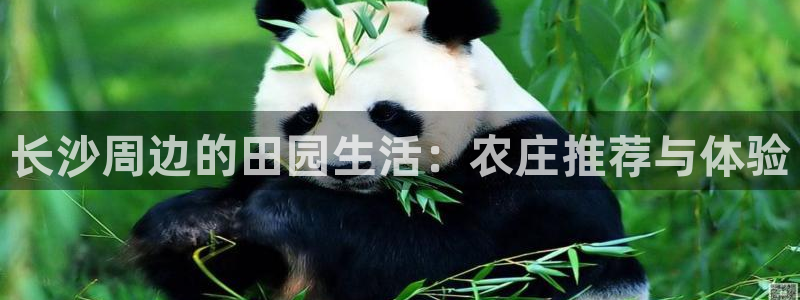 金年会游戏官网