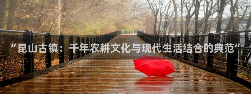 金年会APP安装下载