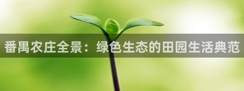 金雅陶瓷年会现场