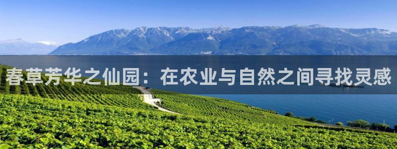 金年会平台是真的吗