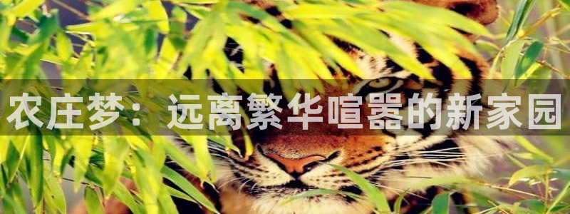 金年会手机登录