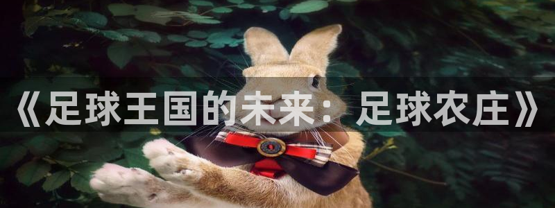 金年会这个平台