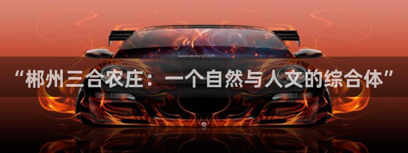 金年会金字招牌至上