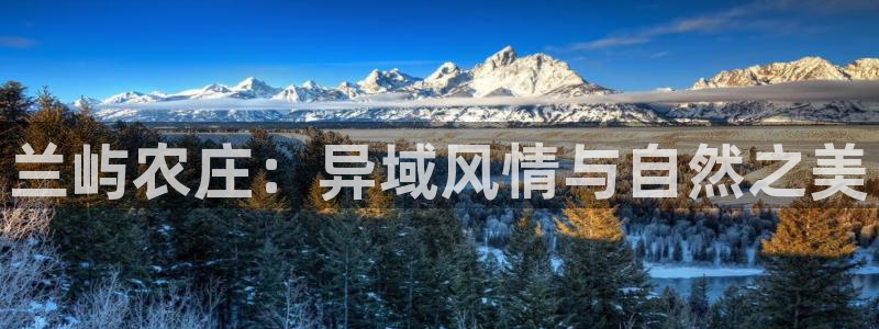 金年会不给提现