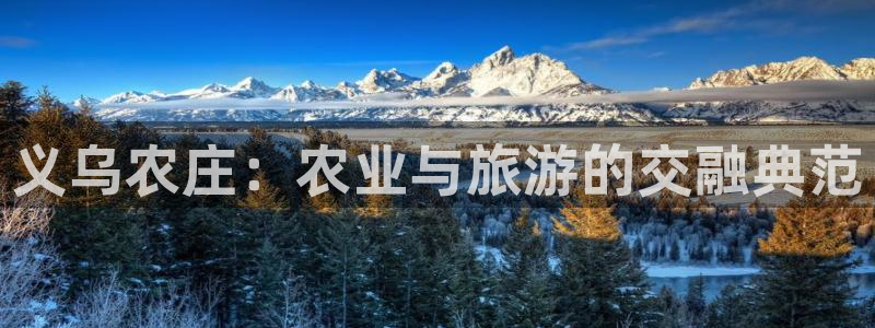 金年会官网入口