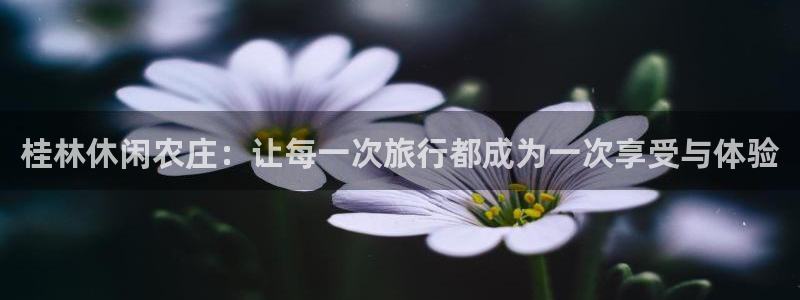 金年会体育平台在线登录