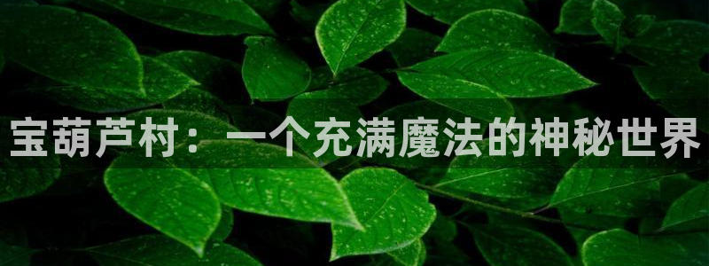 金年会提款