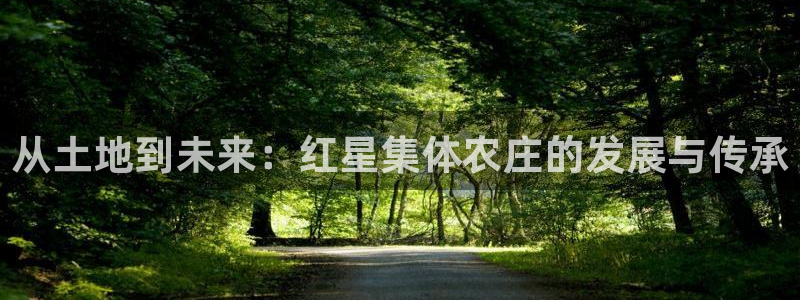 jinnianhui 金年会