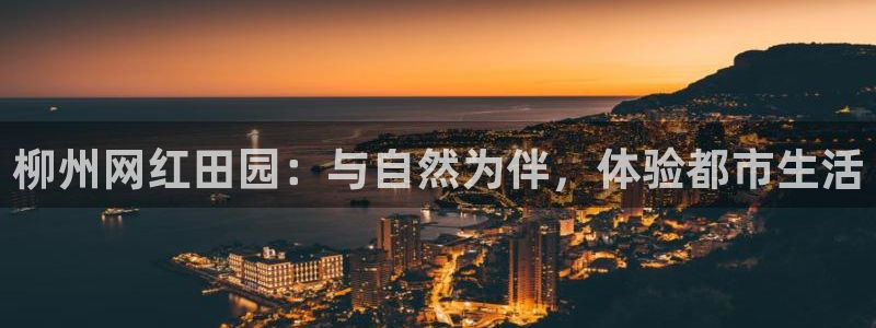 金年会平台包赔