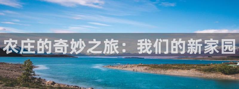 金年会网页版登陆