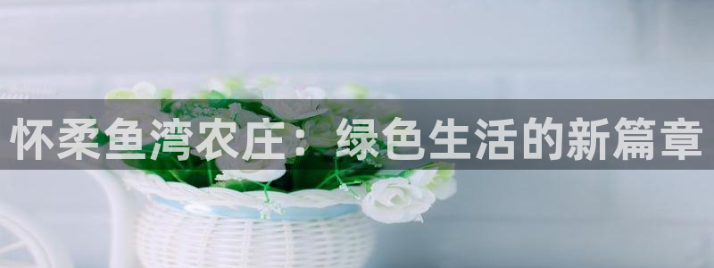 金年会体育官方网站