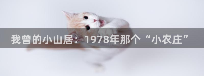 金年会官方网址登录路线