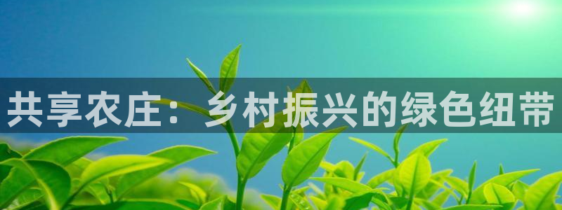金年会app下载官网