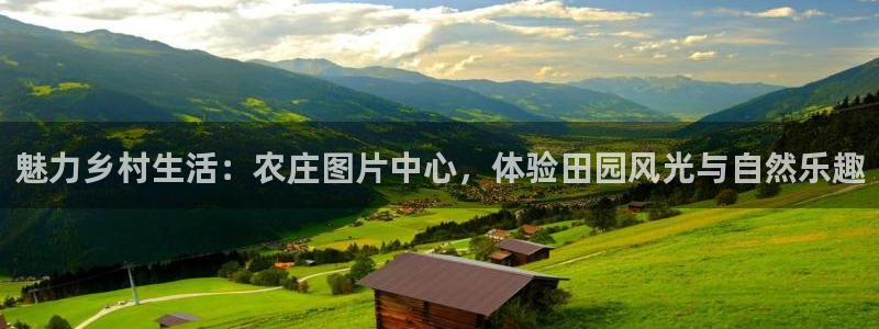 金年会金字招牌至上