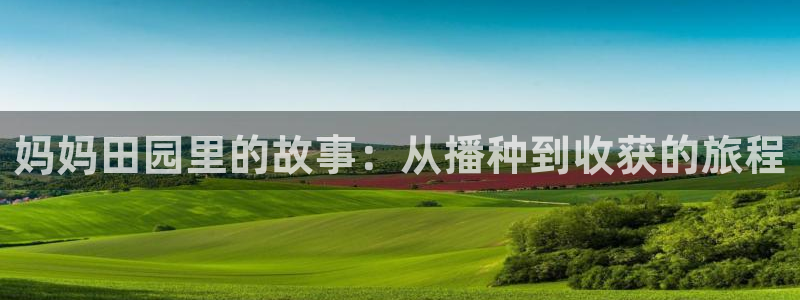 金年会官方网站