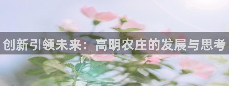 jinnianhui 金年会