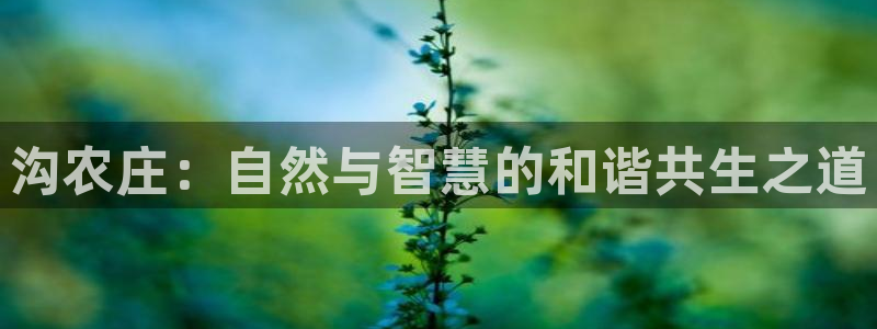 金年会体育官网