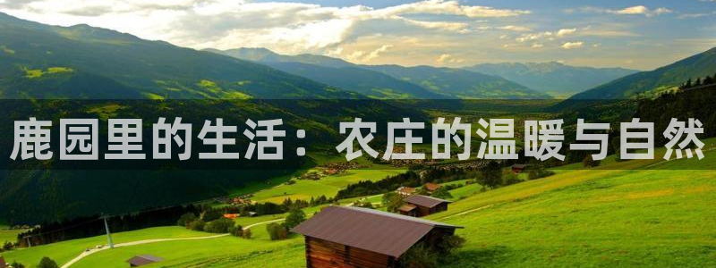 金年会电子游戏app