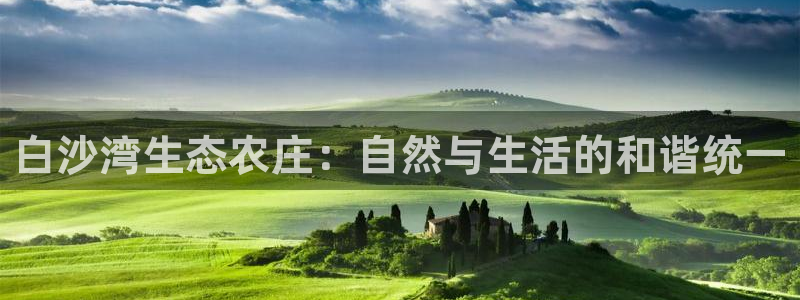 金年会平台是不是大台子