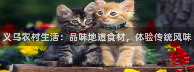 金年会这个平台